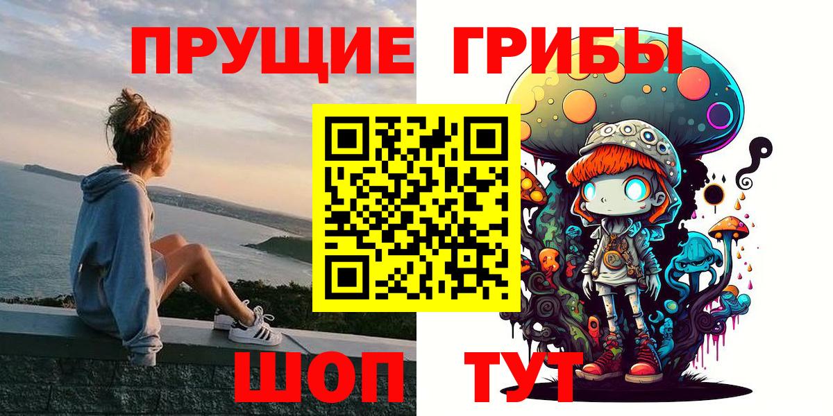 Галлюциногенные грибы Psilocybe  Вход с VPN  Иркутск  Псилоцибиновые грибы Psilocybe 